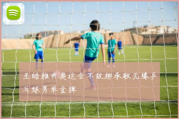 王皓雅典奥运会不敌柳承敏无缘乒乓球男单金牌