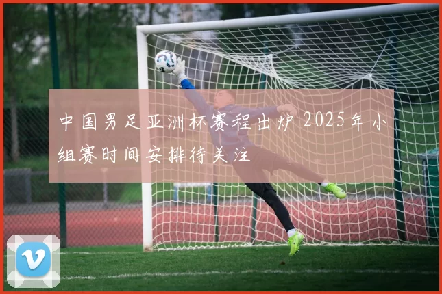 中国男足亚洲杯赛程出炉 2025年小组赛时间安排待关注
