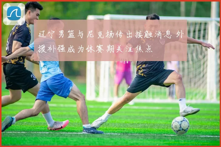 辽宁男篮与尼克杨传出接触消息 外援补强成为休赛期关注焦点