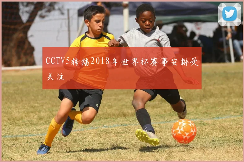 CCTV5转播2018年世界杯赛事安排受关注